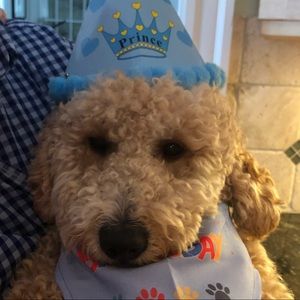 Meet your Posher, Mary